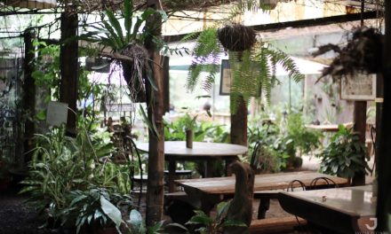Casa Rap Garden Café: A Fun Dining Experience while in Harmony with Nature